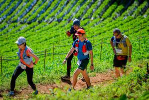 BIB: 3928
                            <button type="button" onclick="openModal(19163483)" class="btn btn-primary btn-sm float-right btn-popup" data-toggle="modal" data-target=".modal-high-quality">
                        <i class="fas fa-shopping-cart"></i> Add to Cart
                    </button>
                                            <button type="button" onclick="isThisMe(19163483, true)" class="btn btn-success btn-sm float-right btn-popup btn-isme hidden" data-toggle="tooltip" data-placement="bottom" title="นี่คือรูปของคุณใช่ไหม คลิกที่นี่เพื่อเอาเข้าอัลบั้ม">
                        <i class="fas fa-plus"></i> Add to album
                    </button>
                    <button type="button" onclick="isThisMe(19163483, false)" class="btn btn-warning btn-sm float-right btn-popup btn-isnotme hidden">
                        <i class="fas fa-ban"></i> Remove from album
                    </button>